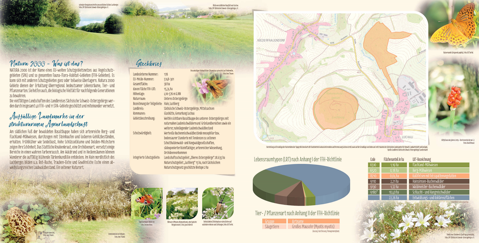 tl_files/downloads/Bilder Projekte/Projektstellen/Natura 2000 1.0/Flyer/FFH-Gebiet_Luchberggebiet_2.png